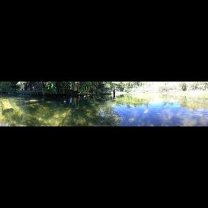 Meet your Posher, Mallory